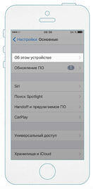 Раздел "Об этом устройстве" Проверка imei на iOS 2